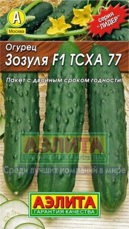 103f11d3-e8f6-11e0-9ebd-00500454e615-1