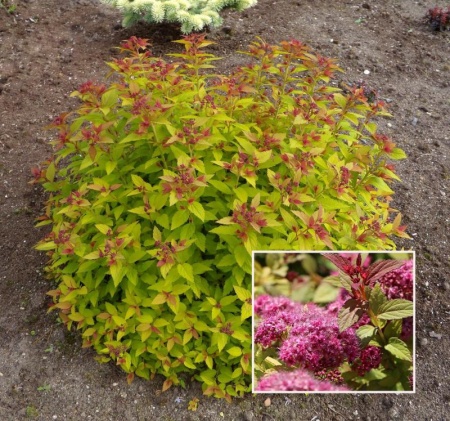 7391c113-113c-11f0-8918-246e9611e8f6-1