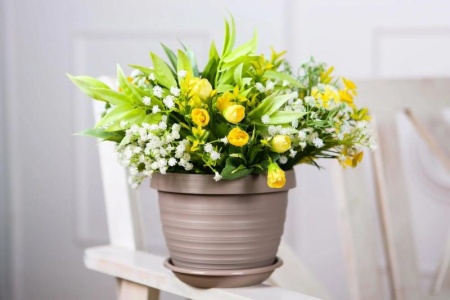 4490a603-5663-11ed-aea3-001e673ebdea-1