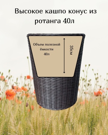 ea128afe-df16-11f0-891e-246e9611e8f6-3