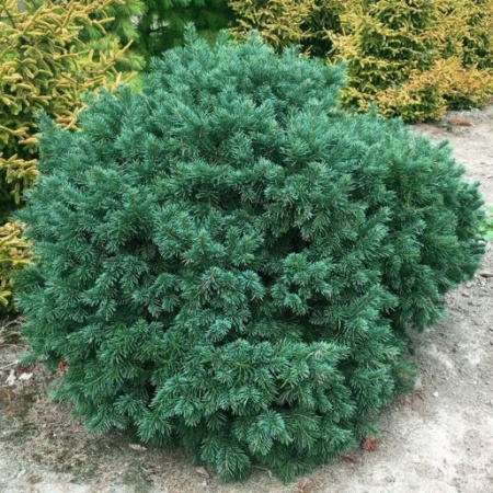 85681b40-d4ee-11f0-891e-246e9611e8f6-1