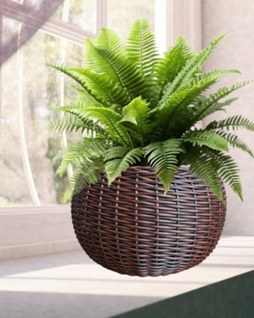 5a0c9bfb-da78-11f0-891e-246e9611e8f6-1