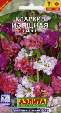 7d524c4f-dcea-11dd-9138-00500454e615-2