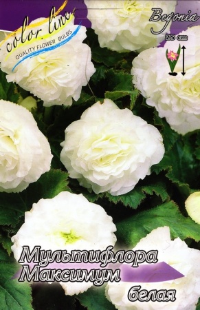 3edf6353-b449-11ee-8bd7-001e673ebdea-1