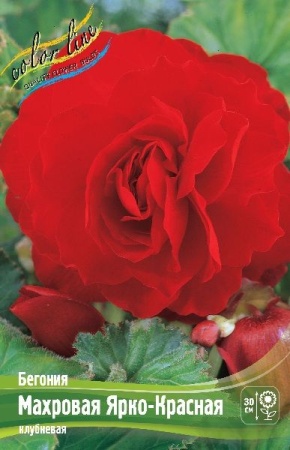 ab868145-6f32-11ec-8bcd-005056c00008-1