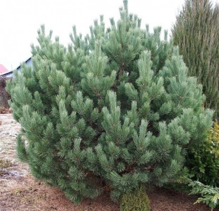 a37a4b51-c363-11ef-8915-246e9611e8f5-1