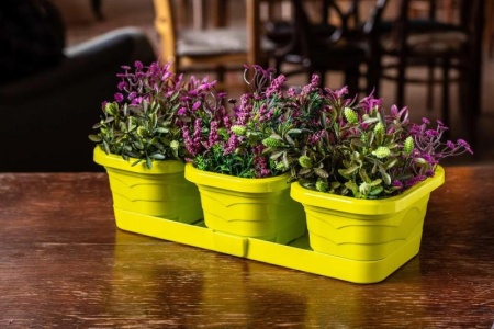 80e7626e-5929-11ed-aea3-001e673ebdea-1