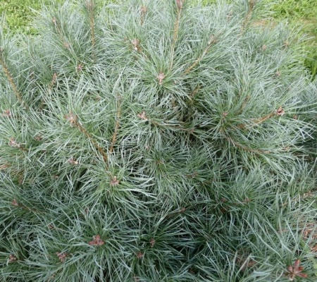 aef5c3fc-c362-11ef-8915-246e9611e8f5-1