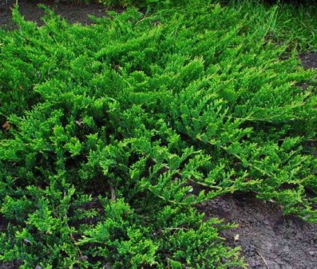 f4c95ed1-107b-11e7-b683-001e673ebdea-1