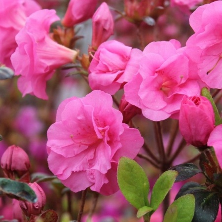 972999a8-ceb0-11f0-891e-246e9611e8f6-1