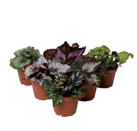 2ded85aa-ea0f-11ef-8915-246e9611e8f5-1