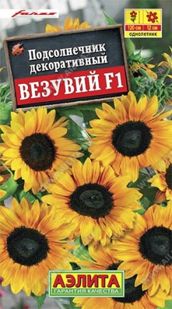 c4436432-0e23-11ec-a8a4-005056c00008-1