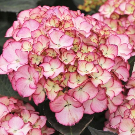 a244aaab-c1fd-11f0-891d-246e9611e8f7-1