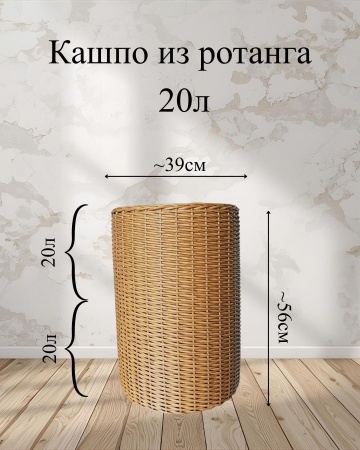 120ec126-df0e-11f0-891e-246e9611e8f6-2