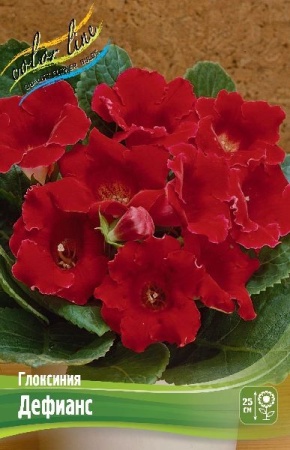 d85418a5-3740-11eb-b90a-005056c00008-1