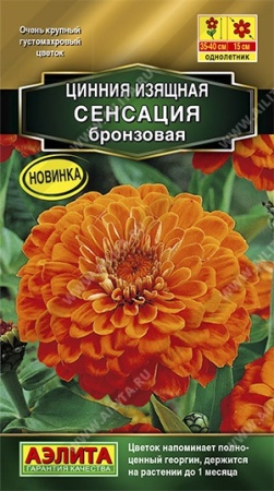 4ea73107-f81e-11ea-b984-005056c00008-2