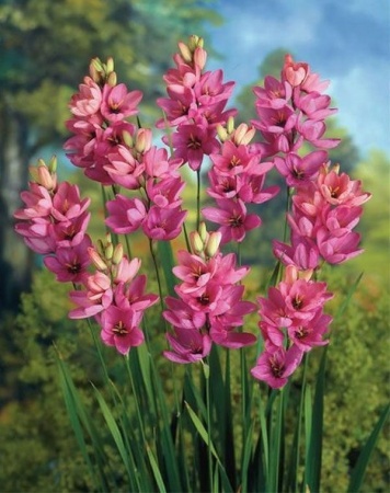 e521bcd5-5612-11ea-ab37-005056c00008-1