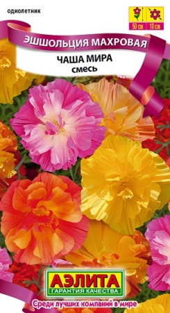 82a3e035-54ea-11df-8868-0019dbe91ea3-2