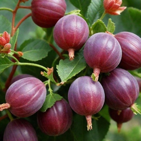 ff9e0d5c-bad6-11f0-891d-246e9611e8f7-1