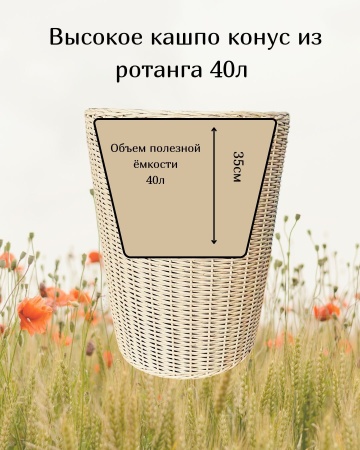 558eb32b-df17-11f0-891e-246e9611e8f6-3