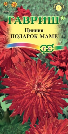 ad57290e-dcea-11dd-9138-00500454e615-1