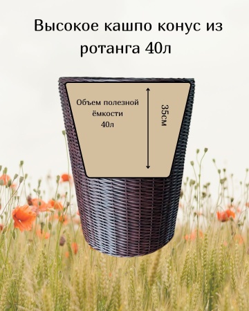 1409baa6-df18-11f0-891e-246e9611e8f6-4