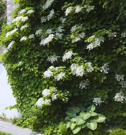 39db71cf-c16d-11f0-891d-246e9611e8f7-1