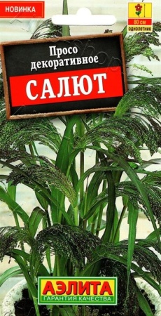 c17011ba-9573-11ec-8510-005056c00008-1