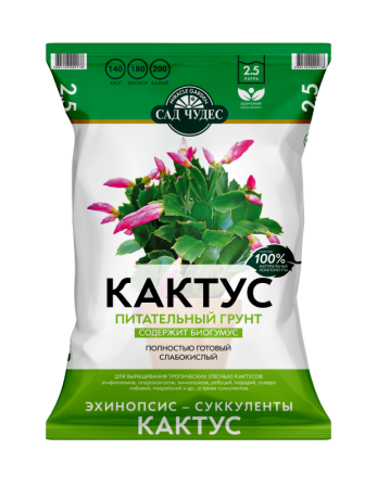СЧ Кактус 2,5л_Д2