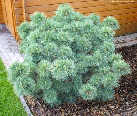 5cd48f8e-70cf-11ed-be6f-001e673ebdea-1