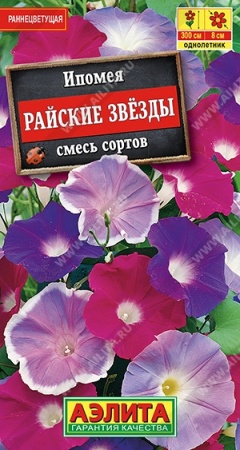 7757a7c8-dcea-11dd-9138-00500454e615-1