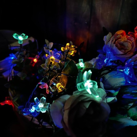 8cd8ef85-2fbd-11ef-890e-246e9611e8f7-1