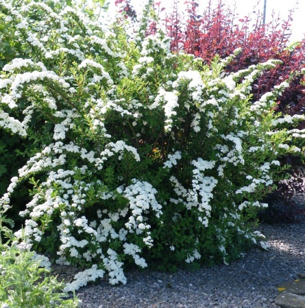 2ac2a4df-2f8a-11ef-890e-246e9611e8f7-1