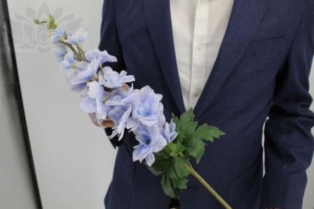 427962d1-5a6b-11f0-891b-246e9611e8f7-1