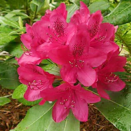 8c19e360-67cb-11ed-bd4c-001e673ebdea-1