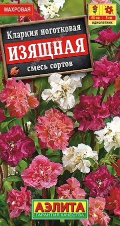 7d524c4f-dcea-11dd-9138-00500454e615-1