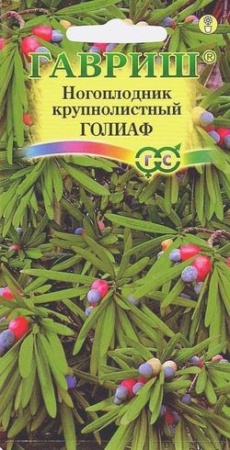 fbd19898-c861-11de-87af-0019dbe91ea3-2