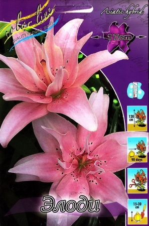 b06751b9-675c-11ed-bd4c-001e673ebdea-1