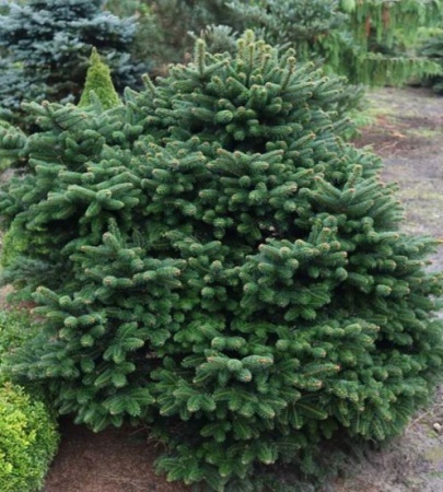 460e7be3-c1e2-11ef-8915-246e9611e8f5-1