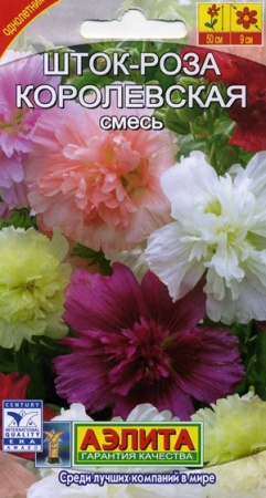 ad572968-dcea-11dd-9138-00500454e615-2