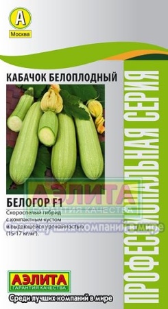 7757a821-dcea-11dd-9138-00500454e615-2