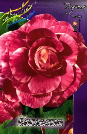 528e950f-6f31-11ec-8bcd-005056c00008-1