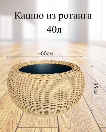 0237e9bb-da86-11f0-891e-246e9611e8f6-2