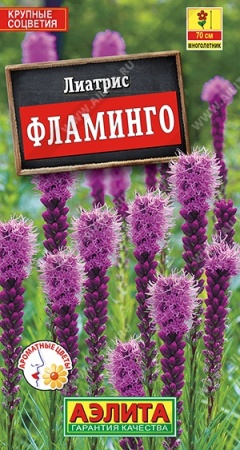 0554bf2f-45ee-11e2-bff7-00500454e615-1