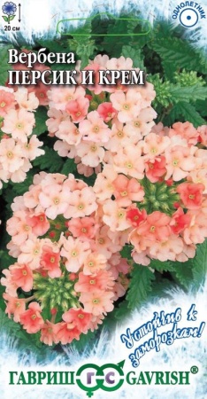 72a1f3cf-e295-11df-b975-0019dbe91ea3-1