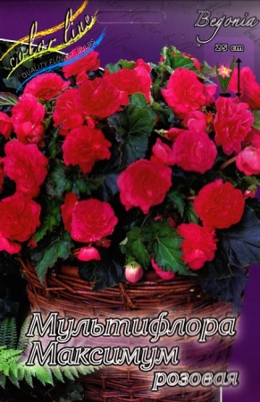 20c3edbf-2240-11e0-9fb4-00500454e615-1