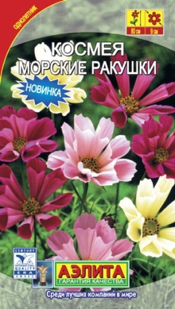 7d524d2d-dcea-11dd-9138-00500454e615-2