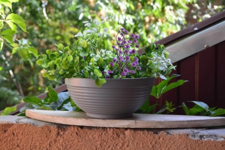 fe1cbb27-58da-11ed-aea3-001e673ebdea-1