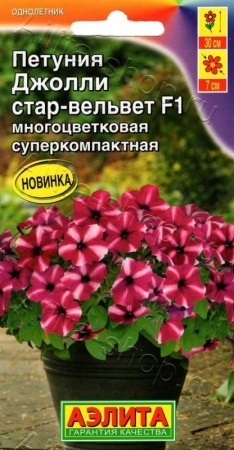 4e1db5c3-1000-11e8-9960-005056c00008-1