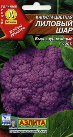 7d524be7-dcea-11dd-9138-00500454e615-1